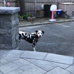 Meet your Posher, Trent